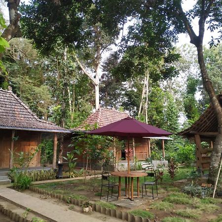 Hotel Omah Kayu Jagalan à Magelang Extérieur photo