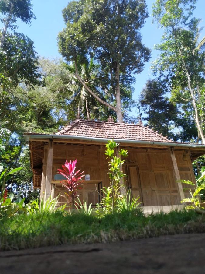 Hotel Omah Kayu Jagalan à Magelang Extérieur photo